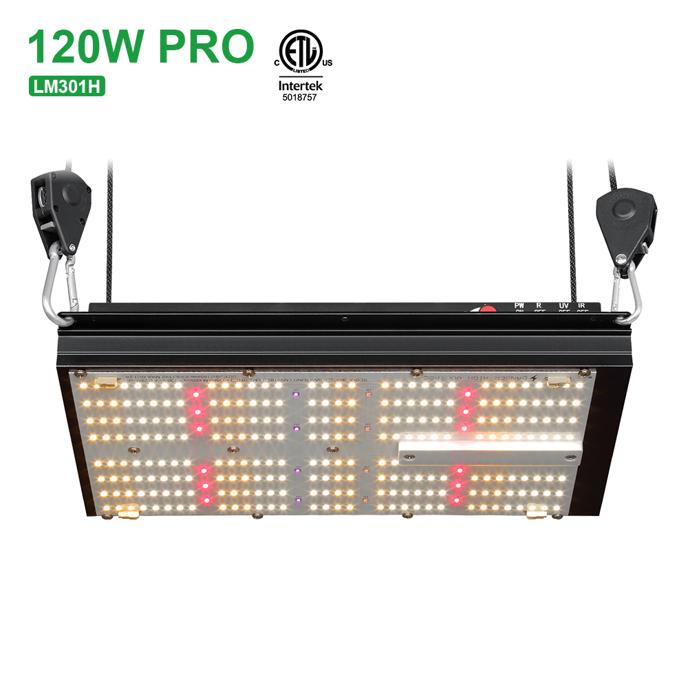 Led Quantum Board 120W Moonrock