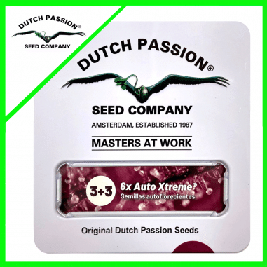 Dutch Passion
PROMOCION XTREME AUTO X3+3-DUTCH PASSION