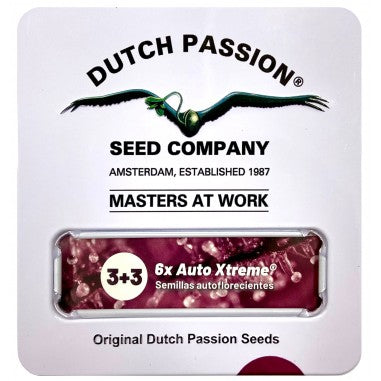 Dutch Passion
PROMOCION XTREME AUTO X3+3-DUTCH PASSION