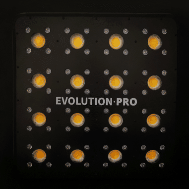 APOLLO EVOLUTION PRO 16 480W-DELIGHT